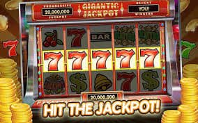 Privacy guidance across sports and casino style sections within 2 bdt